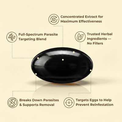 Support a Cleaner, Healthier Gut with Wormwood, Black Walnut & Cloves - EmergingEra™